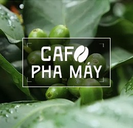 Cafe Rang Mộc Pha Máy